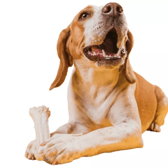Ласощі та кістки для собак