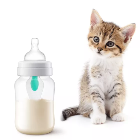 Замінники молока для котів