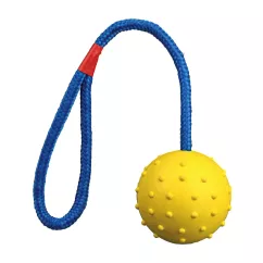 Игрушка для собак Trixie Мяч на веревке с ручкой 30 см, d=7 см (резина, цвета в ассортименте) (3308)