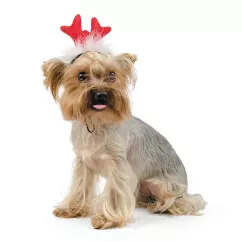 Рожки для собак Pet Fashion (PR240452)