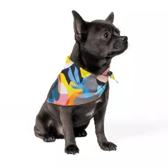 Бандана для собак Pet Fashion «Weekend» XS-S (4823082421084)