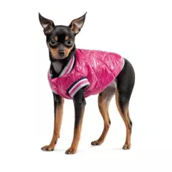 Бомбер для собак Pet Fashion «Grace» М (PR243017)