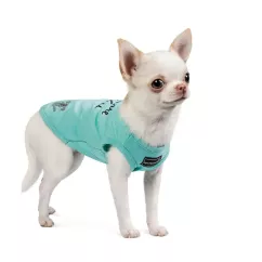 Борцовка для собак Pet Fashion «Puppy» XS (PR242009)