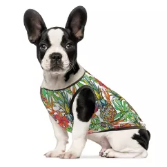 Борцівка для собак Pet Fashion «Ріо» S (4823082410576)