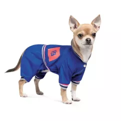Дождевик для собак Pet Fashion «SILVER» XS-2 (4823082429912)