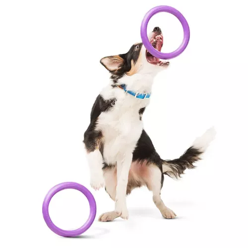 Іграшка для собак Collar Тренувальний снаряд «Puller Midi» (Пуллер) d=20 см, 2 шт. (спінений полімер) (6488) - фото №3