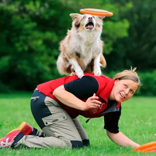 Игрушка для собак Trixie Летающая тарелка d=23 см (пластик, цвета в ассортименте) (33562) - фото №3