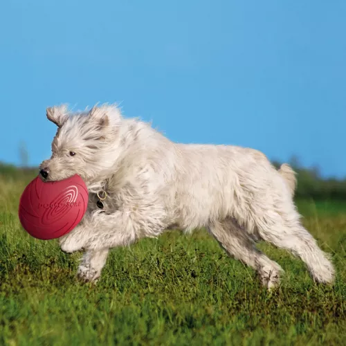 Іграшка для собак Trixie Літаюча тарілка d=24 см (гума, кольори в асортименті) (33503) - фото №5