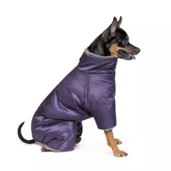 Комбінезон для собак Pet Fashion «Glory» XS (PR242329)