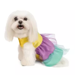 Pet Fashion Лира Платье для собак XS-2 (4823082417025)