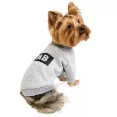 Толстовка для собак Pet Fashion «#Гав» XS-2 (4823082415830)