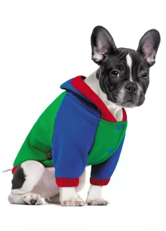 Толстовка для собак Pet Fashion «Курт» M (4823082412419)