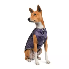 Жилет для собак Pet Fashion «Calm» XS (PR242310)