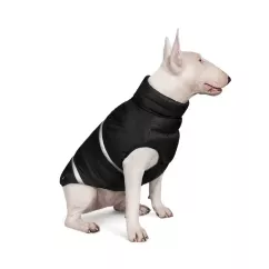 Жилет для собак Pet Fashion «Big Boss» 2-XL (чорна) (PR242398)