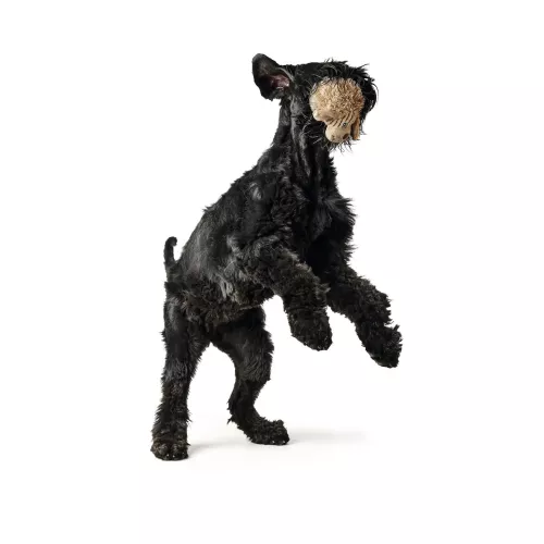 Hunter Pori 18 см (поліестер) іграшка для собак - фото №2