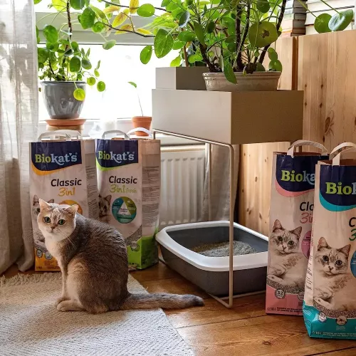 Наполнитель туалета для кошек Biokat's Bianco Fresh 5 кг (бентонитовый) (4002064617114) - фото №5