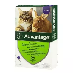 Краплі на холку для котів та кролів Bayer «Advantage» (Адвантейдж) від 4 до 8 кг, 4 піпетки (від зовнішніх паразитів)