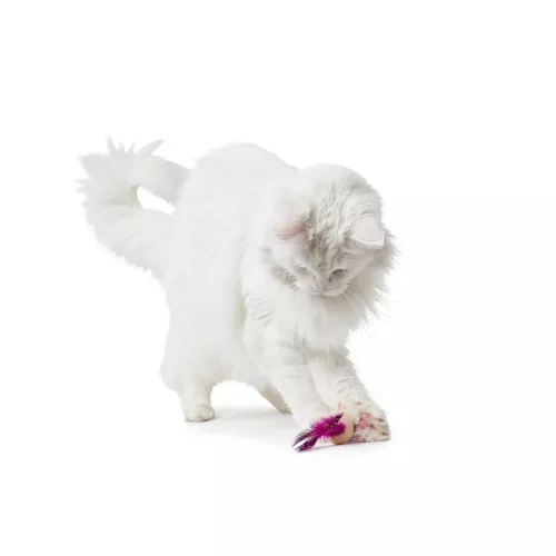 Hunter Mala мяч 4 см (розовый) игрушка для котов - фото №2