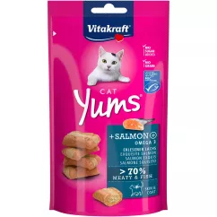 Ласощі для котів Vitakraft Yums 40 г (лосось і Омега-3) (28823)