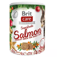 Brit Care Cat Superfruits Різдвяні ласощі для котів лосось та обліпиха 100 г (XMASS_00670)