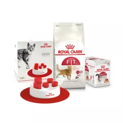 Сухий корм для дорослих котів Royal Canin Fit 32 | 2 кг + 12 шт х 85 г паучів вологого корму для котів + інтерактивна годівниця (11436)