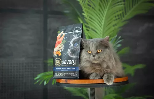 Сухий корм для довгошерстих котів Savory 2 кг (лосось) (30020) - фото №4