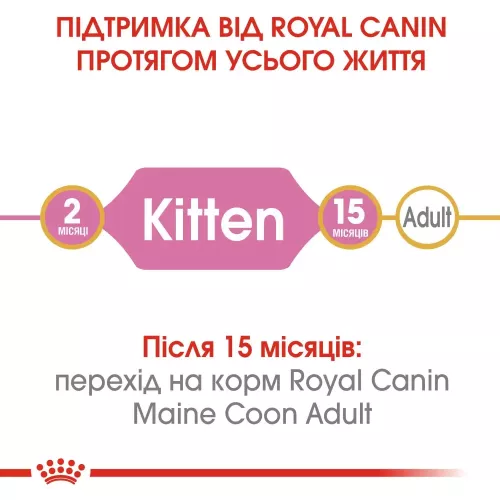 Сухий корм для кошенят породи мейн-кун Royal Canin Mainecoon Kitten | 2 кг + 12 шт х 85 г паучів вологого корму для котів + інтерактивна годівничка (11430) - фото №2