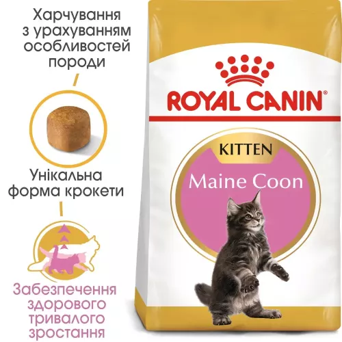 Сухий корм для кошенят породи мейн-кун Royal Canin Mainecoon Kitten | 2 кг + 12 шт х 85 г паучів вологого корму для котів + інтерактивна годівничка (11430) - фото №4
