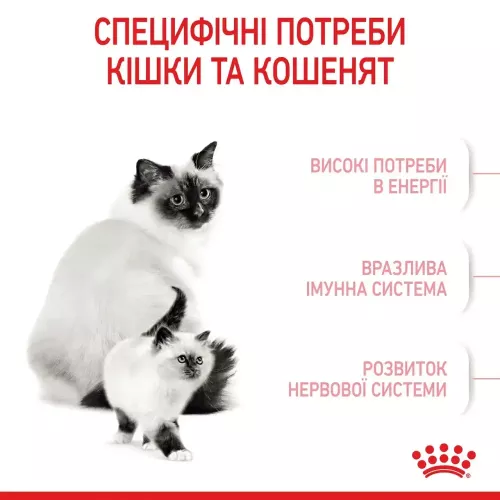 Сухий корм для кошенят Royal Canin Mother & Babycat 2 кг + контейнер у подарунок (домашня птиця) (11551) - фото №3