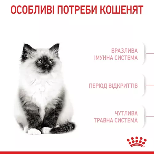 Сухой корм для котят Royal Canin Kitten | 2 кг + 12 шт х 85 г паучей влажного корма для кошек + интерактивная кормушка (11438) - фото №3