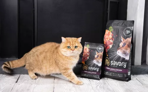 Сухой корм для стерилизованных кошек Savory 2 кг (ягненок и курица) (30112) - фото №4