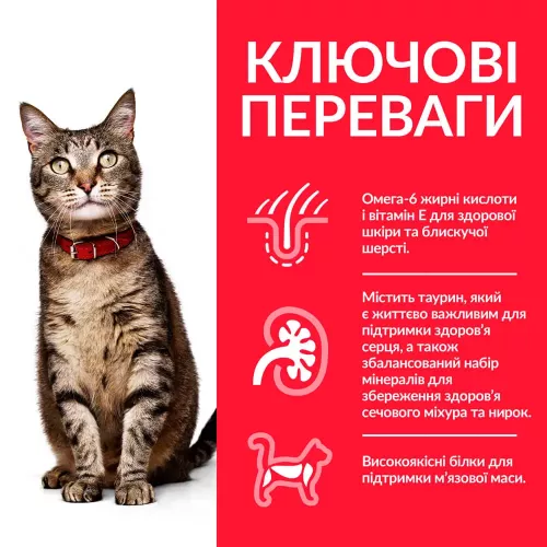 Сухий корм для дорослих котів Hills Science Plan Feline Adult Optimal Care 15 кг (курка) (604063) - фото №3