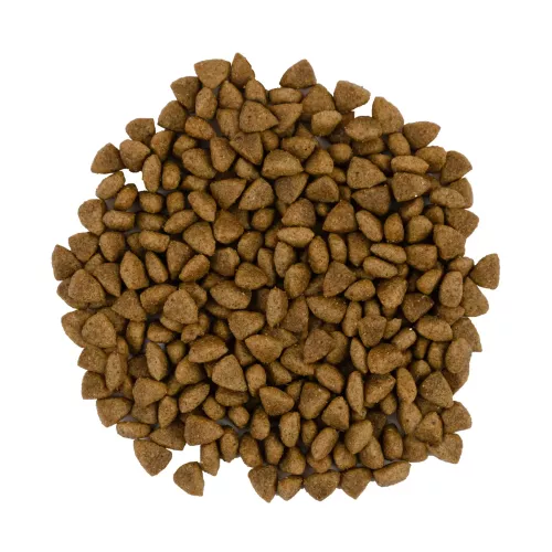 Сухой корм для кошек с чувствительным пищеварением Savory 400 г (ягненок и индейка) (4820232630075) - фото №3