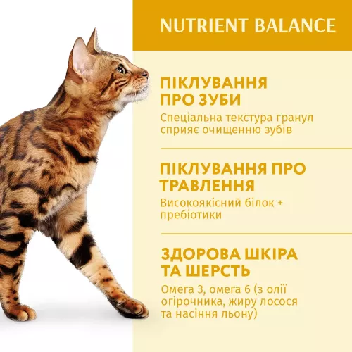 Сухой корм для взрослых кошек Optimeal Adult Cat Chicken 200 г (курица) (B1890101) - фото №3