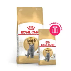 Сухий корм для дорослих котів породи британська короткошерста Royal Canin British Shorthair Adult 2 кг + 400 г у ПОДАРУНОК ​​(домашня птиця) (10938)