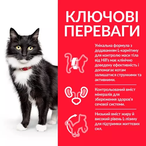 Сухий корм для зрілих стерилізованих котів Hills Science Plan Mature Adult 7+ Sterilised 3 кг (курка) (604134) - фото №3