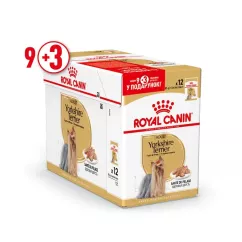Вологий корм для дорослих собак породи йоркширський тер'єр Royal Canin Yorkshire Terrier Adult 85г, 9+3 шт у подарунок (домашня птиця) (11473)