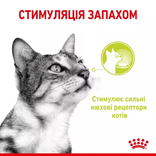 Влажный корм для требовательных к запаху кошек pouch Royal Sensory Smell Gravy 85г, 9+3 шт в подарок (домашняя птица) (11481) - фото №3