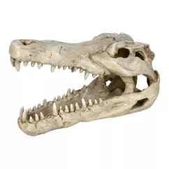 Декорация для аквариума Trixie Череп крокодила 14 см (пластик) (8712)