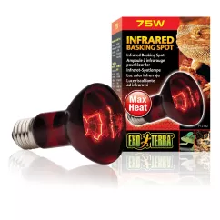 Інфрачервона лампа розжарювання Exo Terra «Infrared Basking Spot» 75 W, E27 (для обігріву) (PT2142)