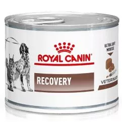 Вологий лікувальний корм Royal Canin Recovery Canine Feline 195 г (9003579307717)