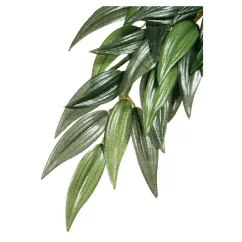 Декорация для террариума Exo Terra растение Rucus L (шелк) (PT3051)