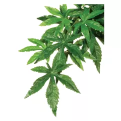Декорація для тераріума Exo Terra рослина «Abuliton» M (шовк) (PT3042)