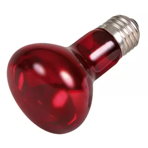 Инфракрасная лампа накаливания Trixie 75 W, E27 (для обогрева) (76096) - фото №2
