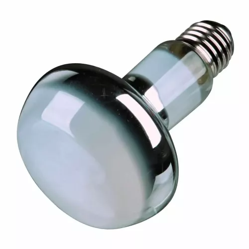 Рефлекторная лампа накаливания Trixie 50 W, E27 (для обогрева) (76001) - фото №2