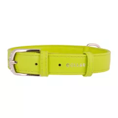 Collar Glamour Ошейник для собак кожаный 21-29 см/12 мм зеленый (С32565)