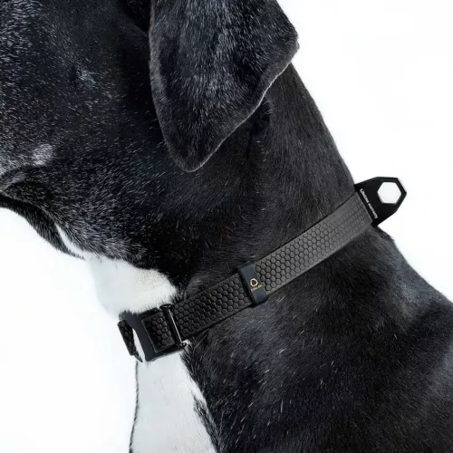 Collar Еволютор Нашийник для собак 25-70 см/25 мм чорний (С42431) - фото №5