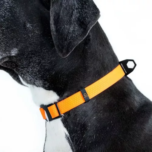 Collar Эволютор Ошейник для собак 25-70 см/25 мм оранжевый (С42434) - фото №5