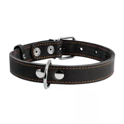 Нашийник Collar одинарний 38-50 см / 25 мм / (чорний) M (С02191)