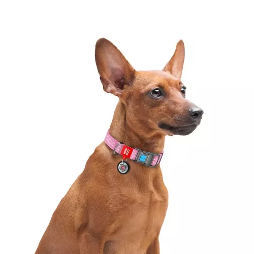Collar WAUDOG Re-cotton Нашийник для собак з QR-паспортом 31-49 см/25 мм рожевий (C02927) - фото №4